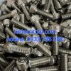 Bu lông lục giác SS304,SS316