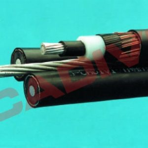 Cáp vặn xoắn trung thế (MV-ABC)