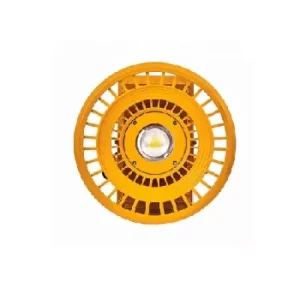 Đèn chống nổ 100W