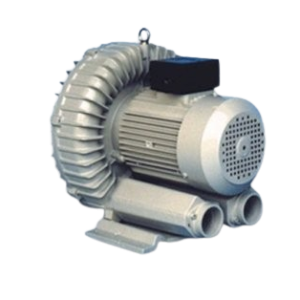 Motor bơm hút chân không Teco - Vũng Tàu